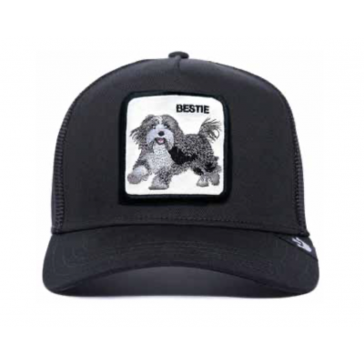 Beanie - Der beste Hund